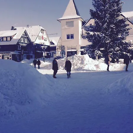 Am Waltenberg Apartment Winterberg