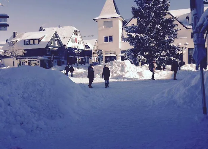 Am Waltenberg Lejlighed Winterberg